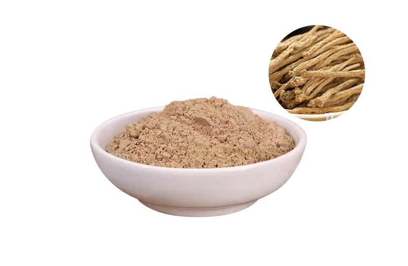 Codonopsis Root Raw Powder